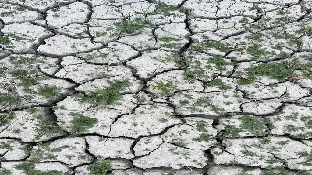 Understanding the key drivers of climate catastrophe